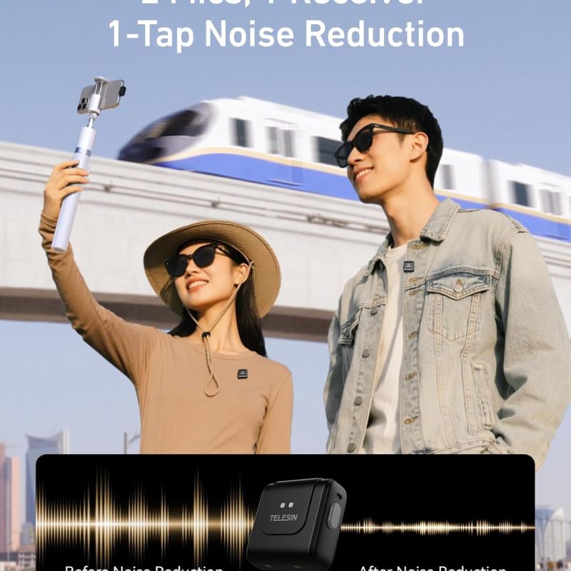 Telesin microphone review